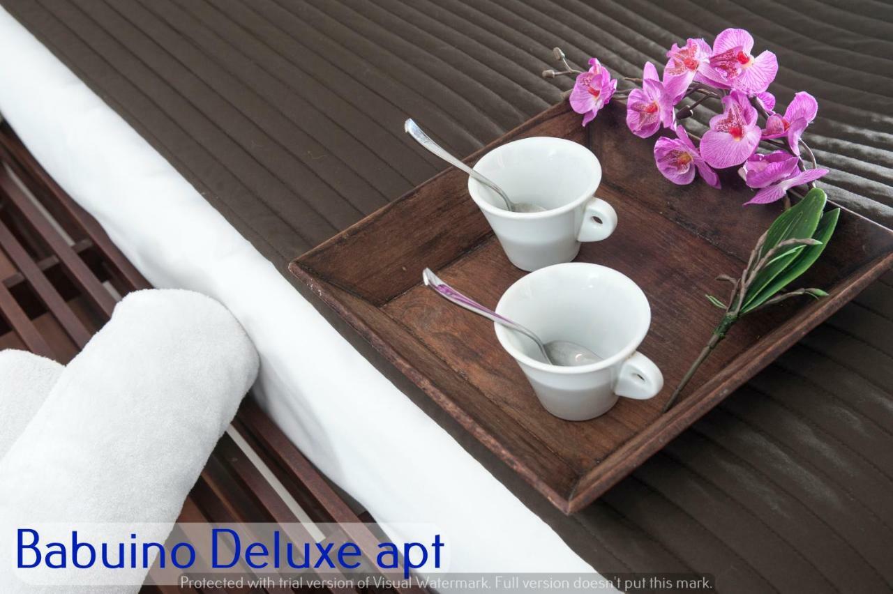 Apartment Babuino - Piazza Di Spagna
