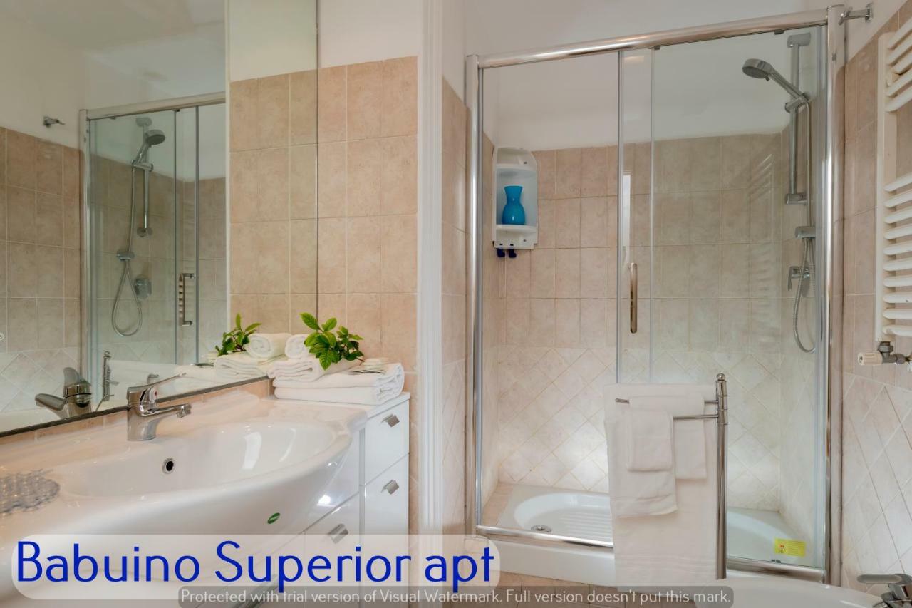 Babuino - Piazza Di Spagna Apartment Rome